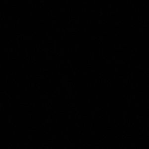 Meet your Posher, Bridgette